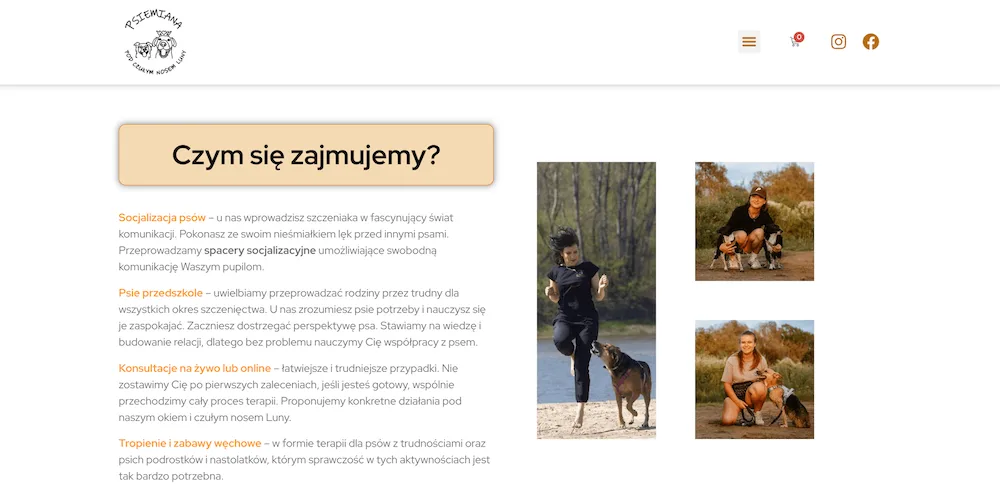 Strona internetowa PsiaMiana – projekt wykonany przez DevStrony